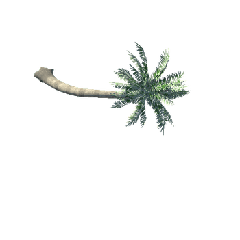 Build Accesory Palm Tree 2